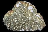 Pyrite On Calcite - El Hammam Mine, Morocco #80710-1